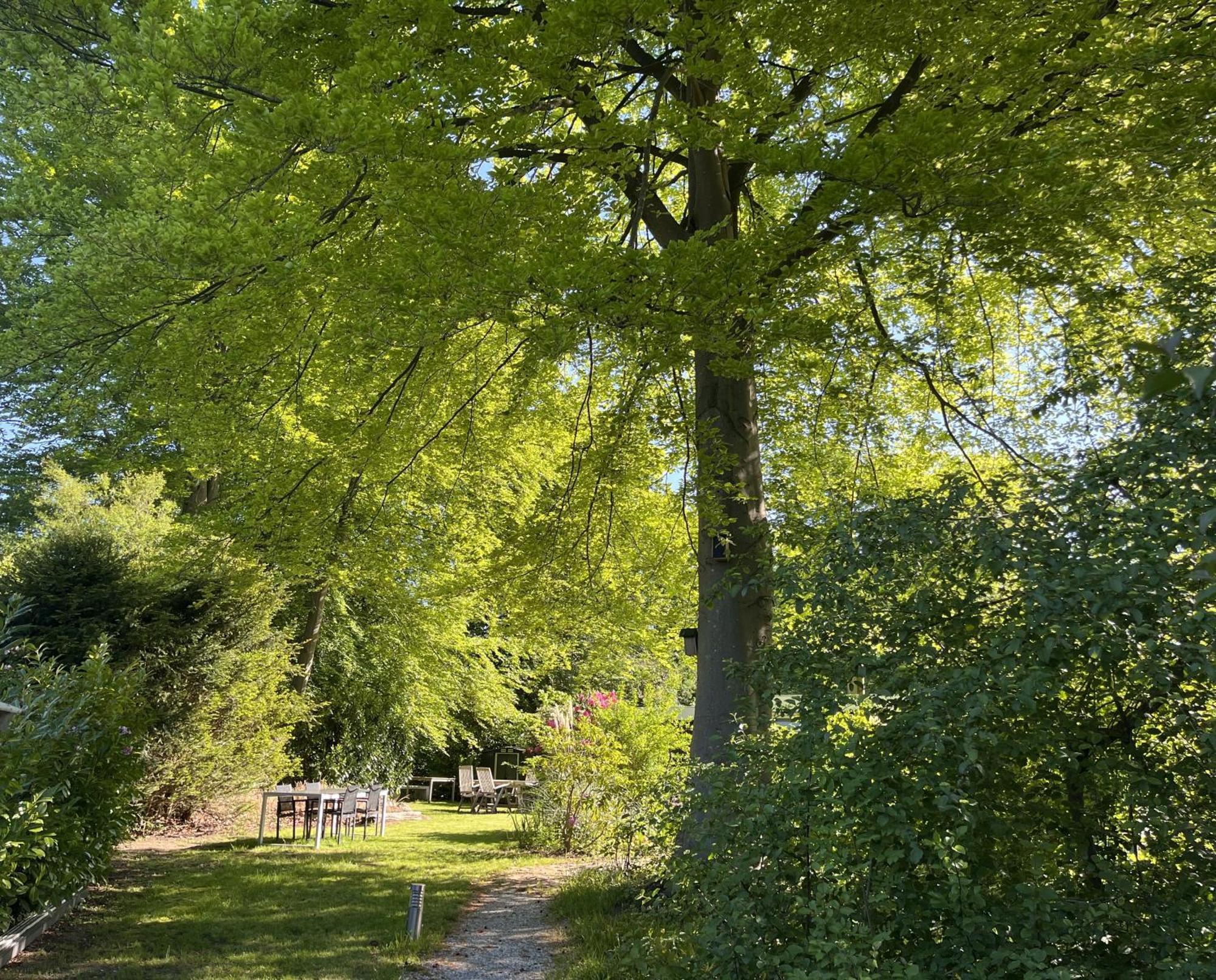 Bungalowpark De Bremerberg بيدينغويزين الغرفة الصورة